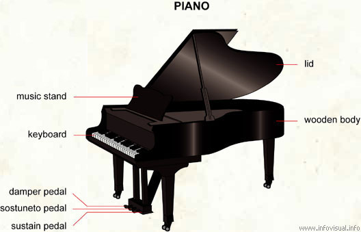 Piano  (Visual Dictionary)